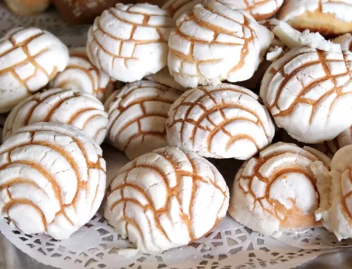 Conchas